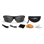 Wiley X Guard Advance Safety Glasses