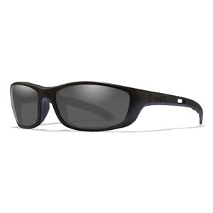 Wiley X P-17 Sunglasses